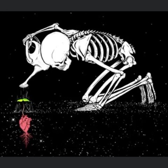 Meet your Posher, Joseph - Picture 1 of 1